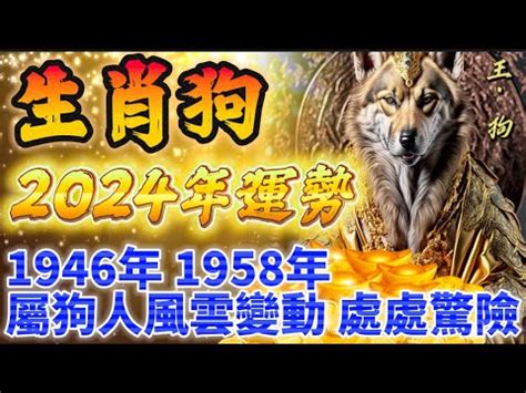 1958年屬狗|【1958生肖】揭曉 1958 年生肖！屬狗運勢、五行解析大公開